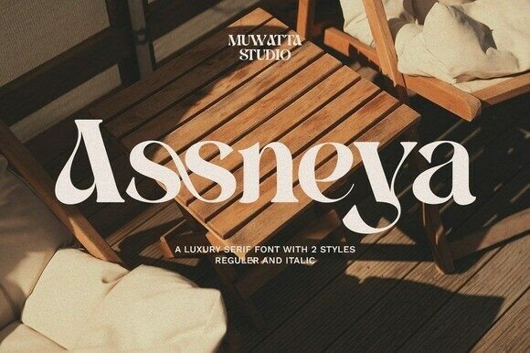 Assneya: A Modern Serif Font for Handmade Creators