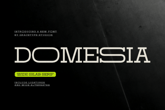 Domesia: A Bold Slab Serif for Modern Branding
